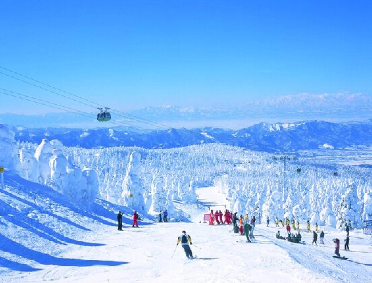 藏王溫泉滑雪場